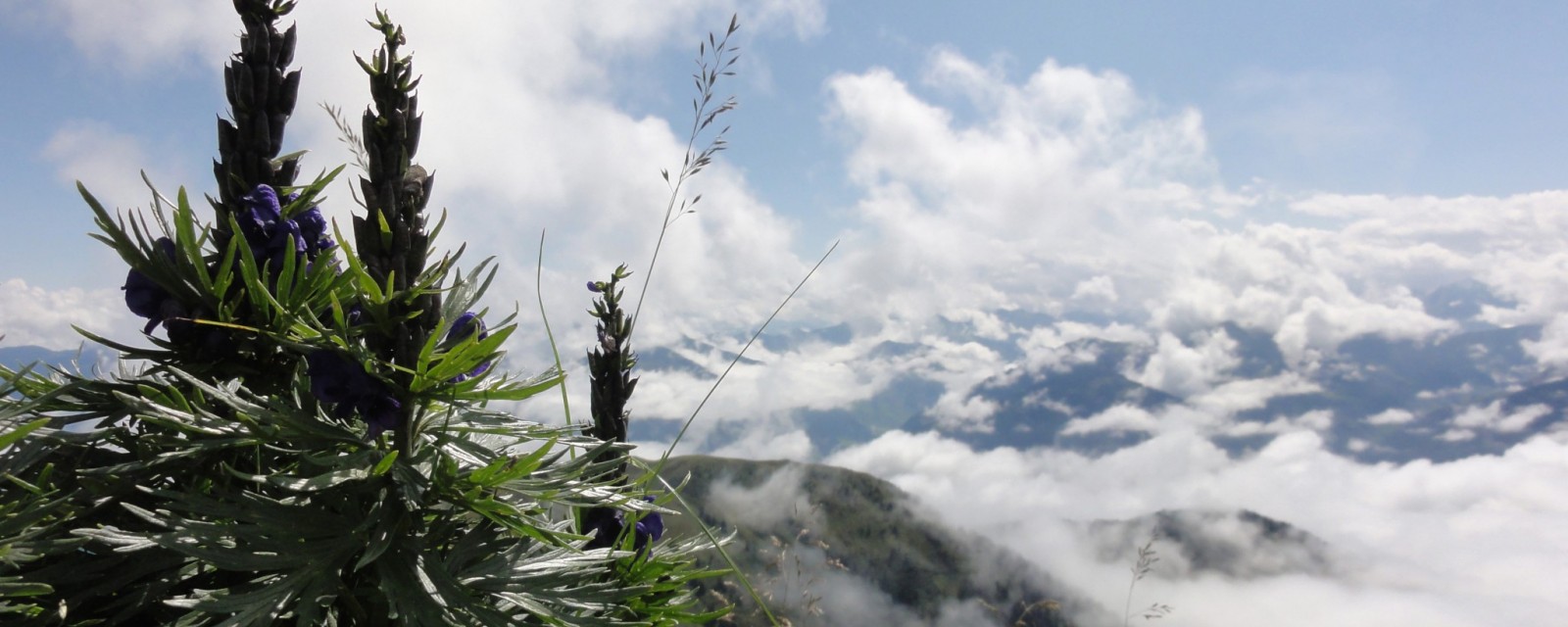 Arnoweg: Über den Wolken am Hundstein