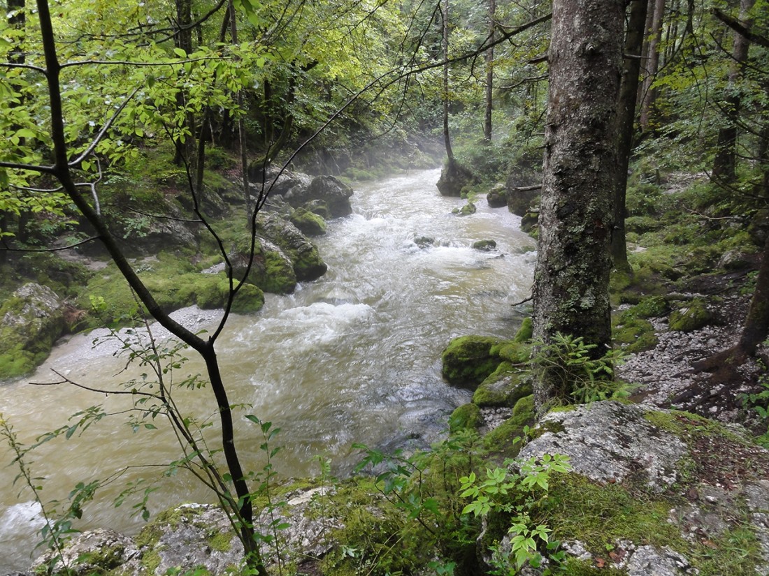 Arnoweg: Torrener Bach im Bluntautal