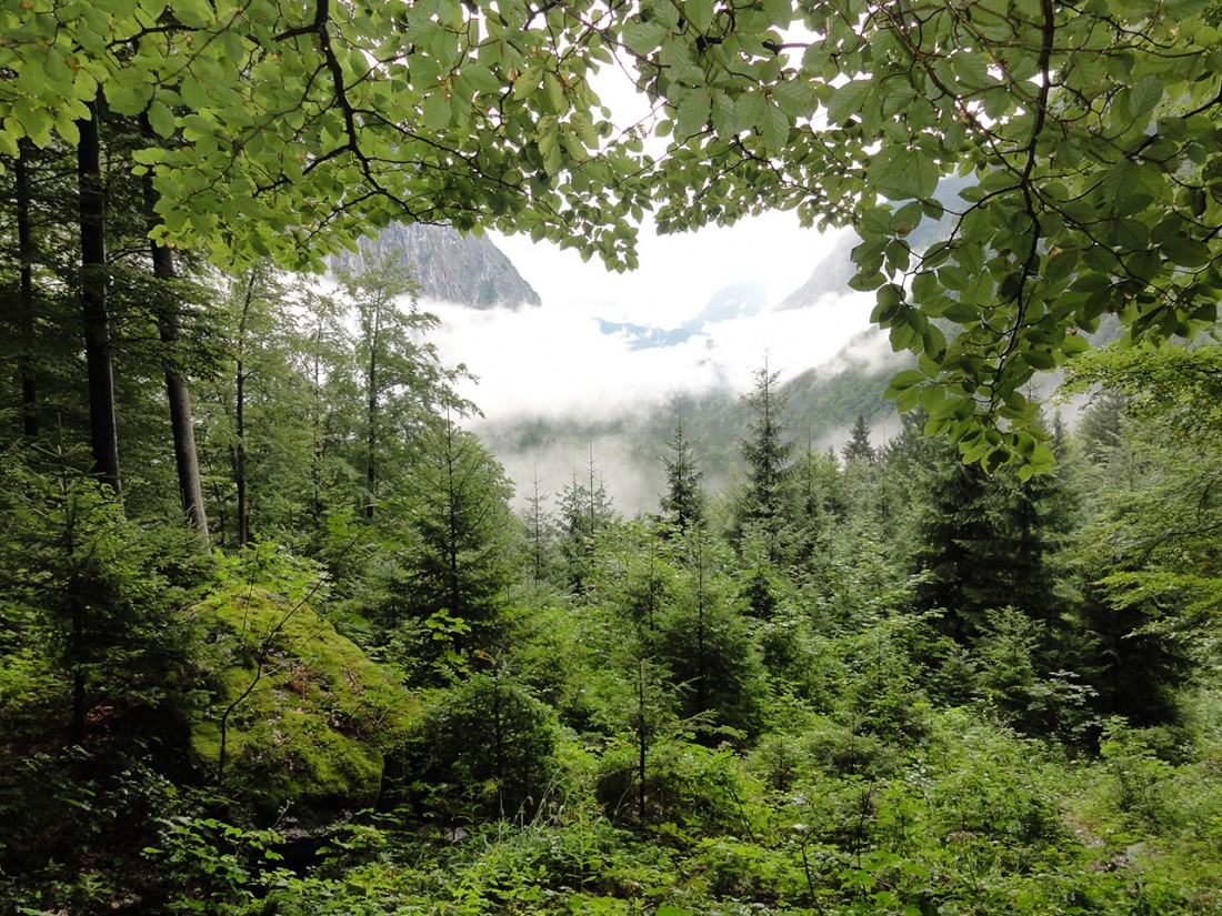 Arnoweg: Ausblick zurück über das Bluntautal