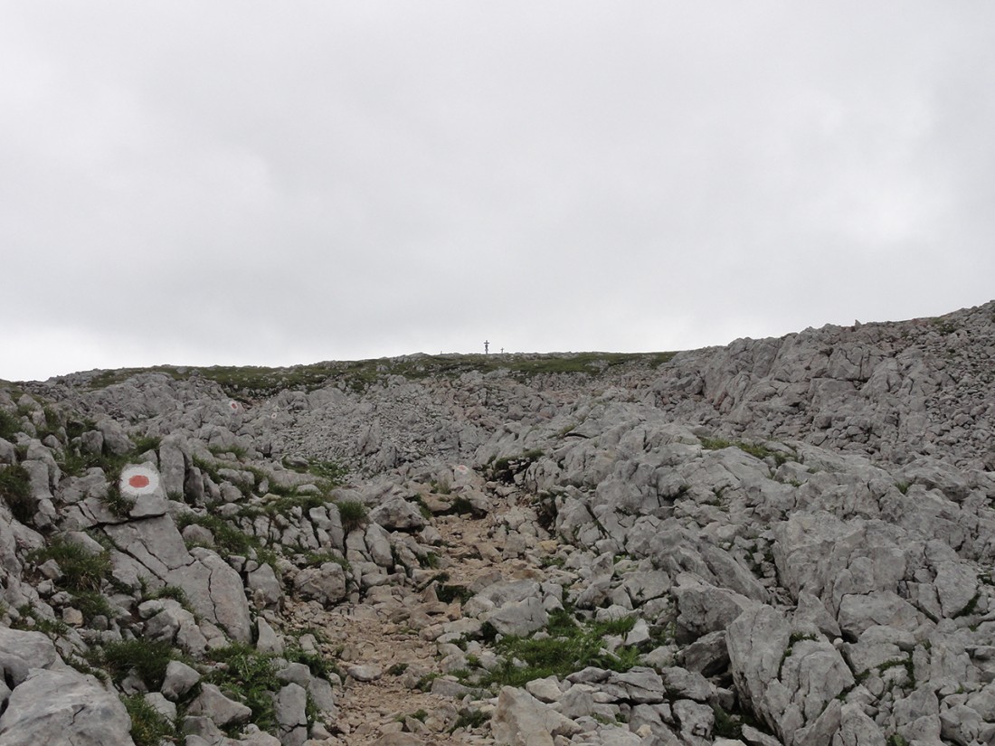 Arnoweg: Aufstieg auf den Schneibstein