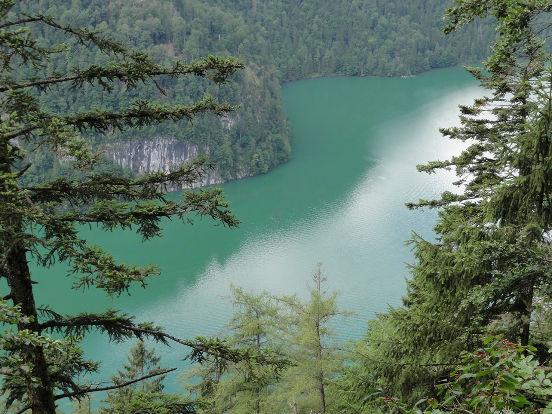 Arnoweg: Blick über den Königssee