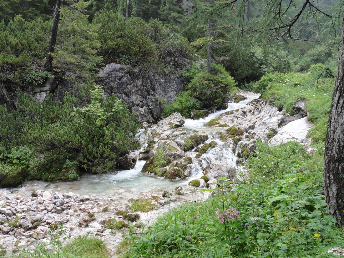 Arnoweg: Malerischer Gebirgsbach Richtung Dießbach-Stausee