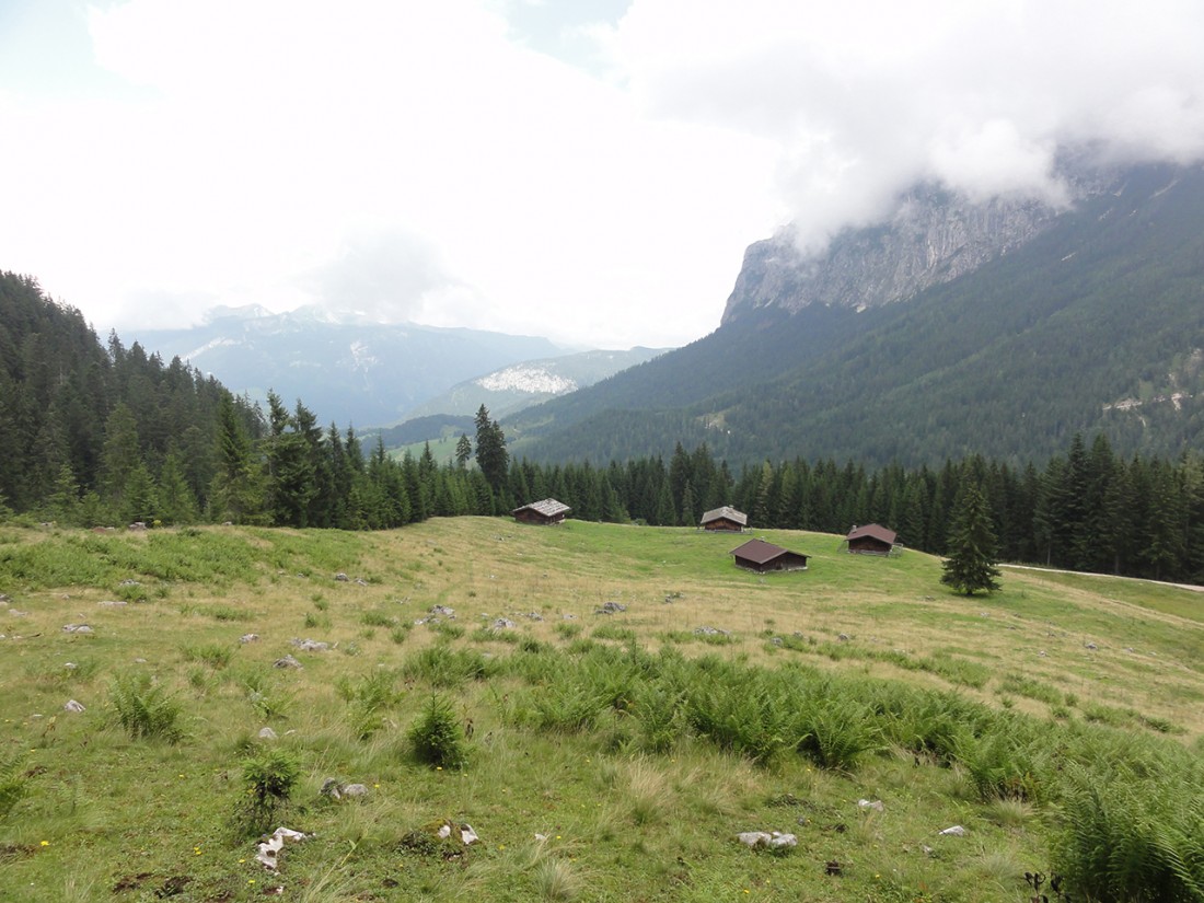 Arnoweg: Die Auerweißbachalm
