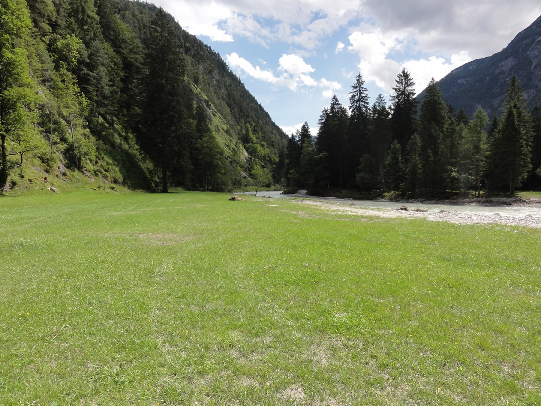 Arnoweg: Über Wiesen und entlang der Saalach nach Weißbach