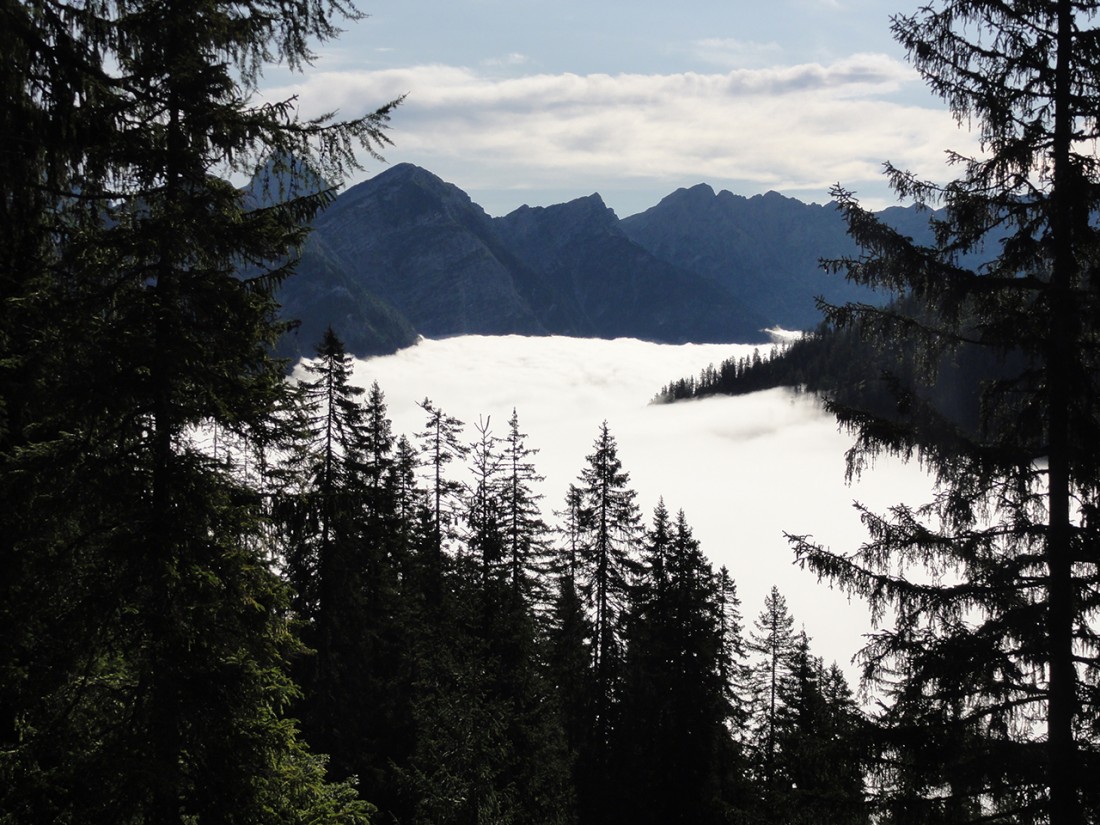 Arnoweg: Über dem Wolkenmeer mit Blick Richtung Steinernes Meer