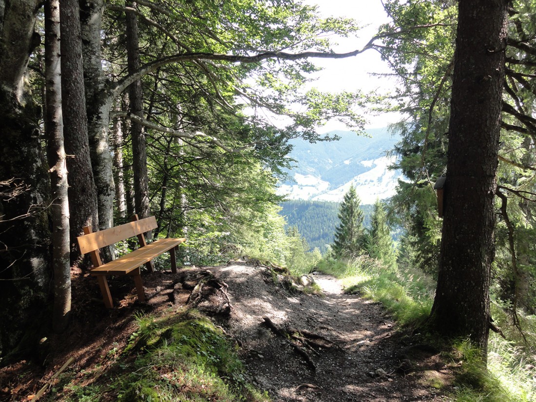 Arnoweg: Der Abstieg Richtung Leogang und weiter nach Saalfelden