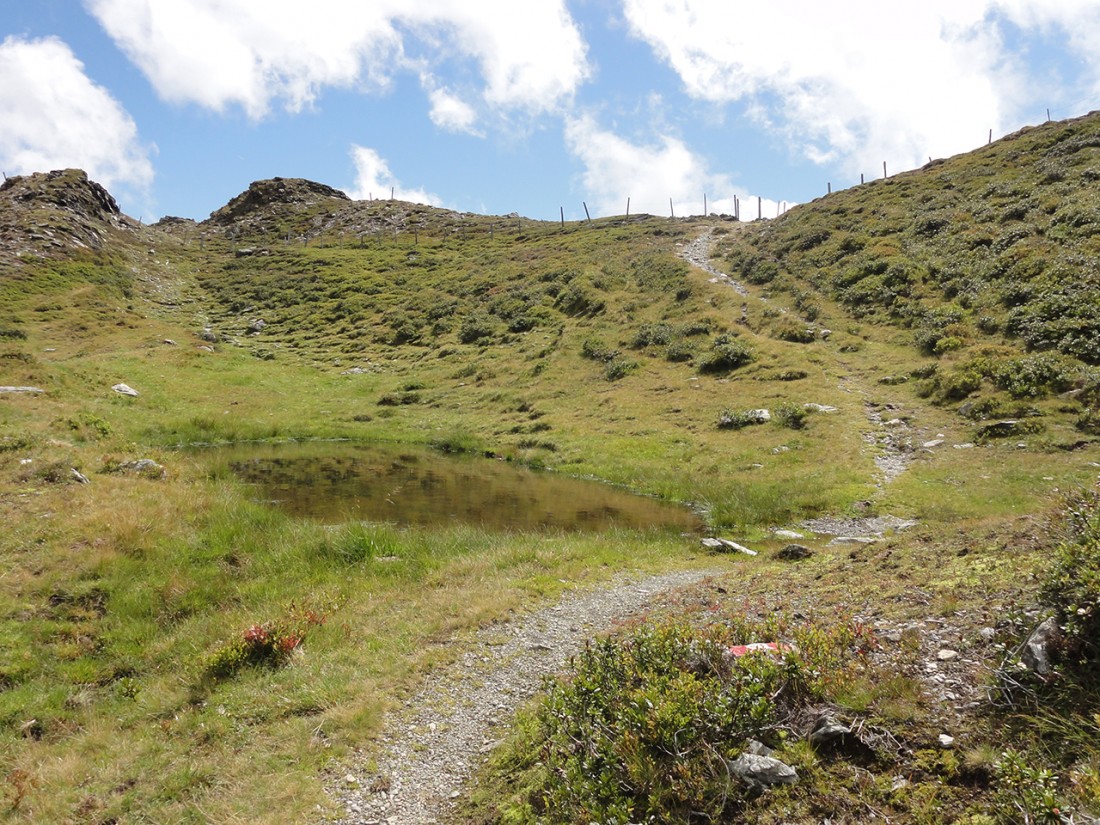 Arnoweg: Der Pinzgauer Spaziergang führt über die sanften Grasberge nördlich des Salzachtals.