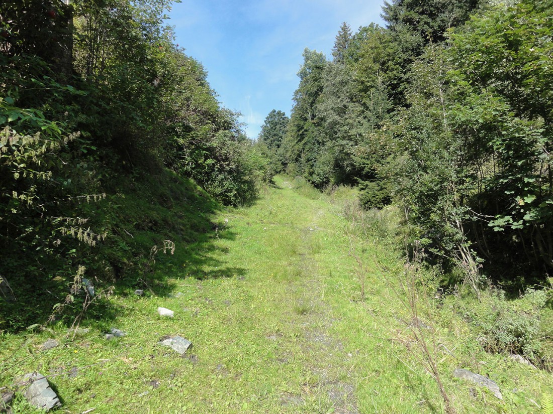 Arnoweg: Noch vor Mittersill dreht der Arnoweg nach Westen wieder bergauf zum Pass Thurn.