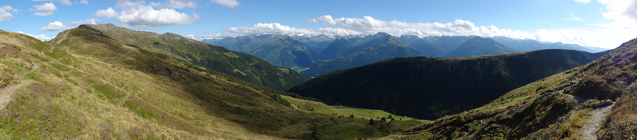 Arnoweg: Der Pinzgauer Spaziergang führt über die wunderschönen und sanft geprägten Pinzgauer Grasberge.