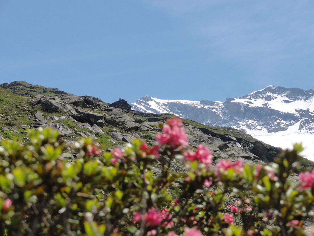 Arnoweg: Die Warnsdorfer Hütte