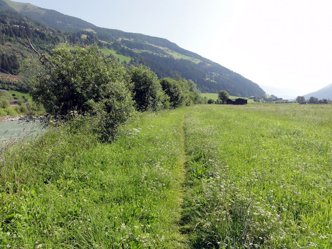 Arnoweg: Fußweg entlang der Salzach