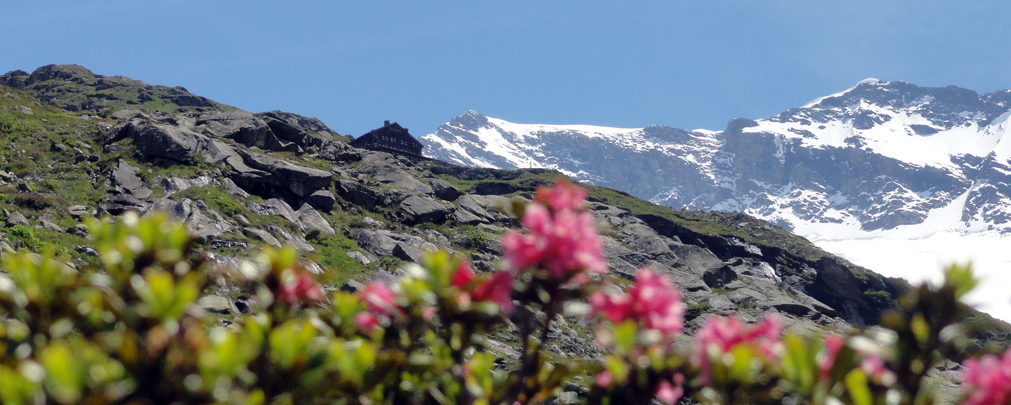 Arnoweg: Die Warnsdorfer Hütte neben dem Krimmler Kees