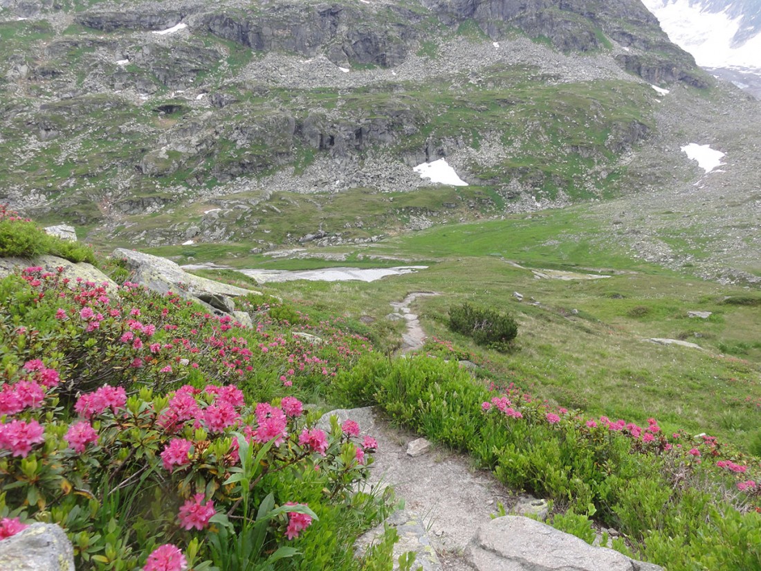 Arnoweg: Von der Rudolfshütte geht es über die Steinerne Stiege zum Tauernmoosstausee.