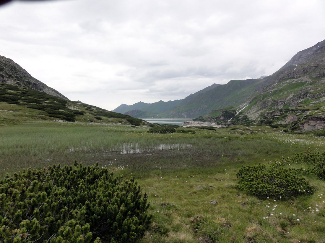 Arnoweg: Der Tauernmoossee hinter einem naturgeschützten Hochmoor.