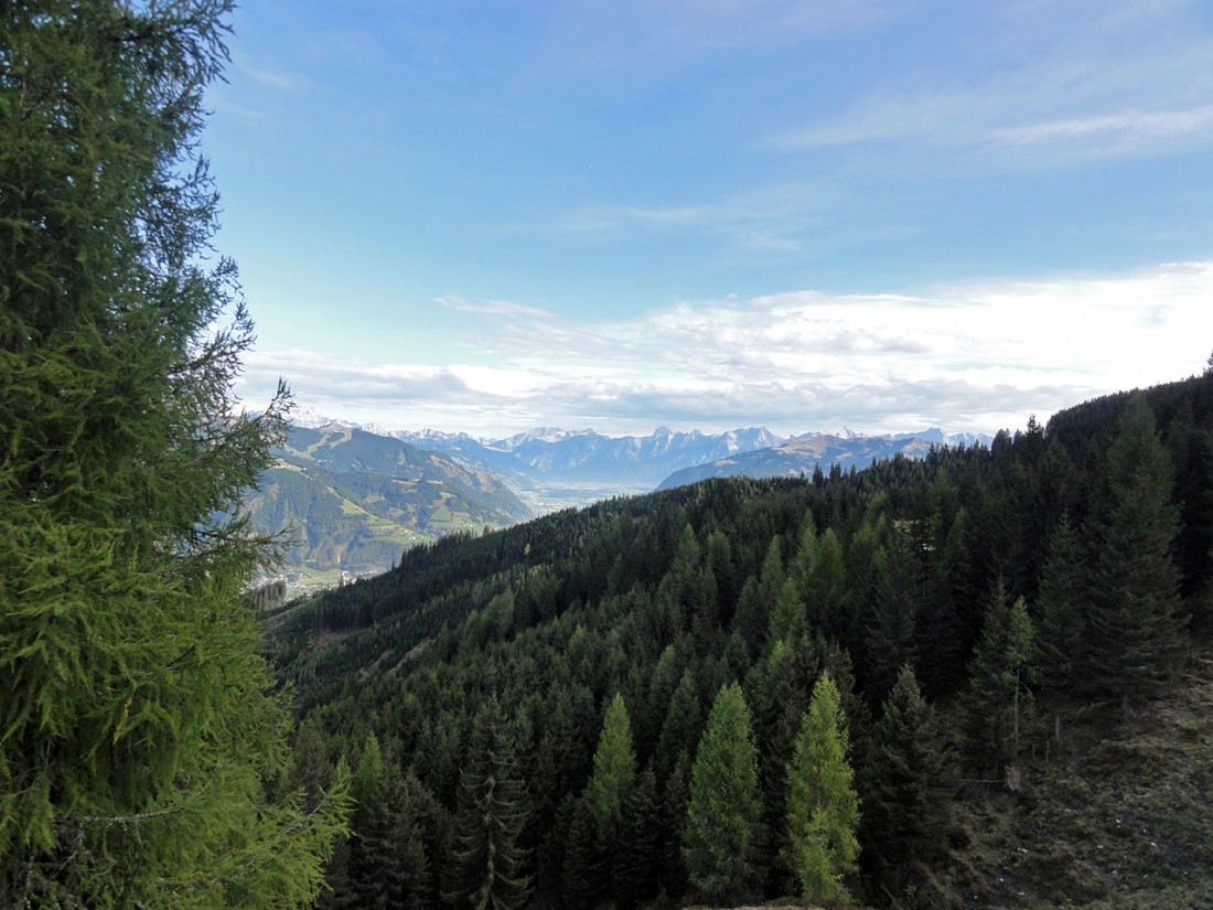 Arnoweg: Auf der Piffscharte am Rande der Baumgrenze hat man einen großartigen Ausblick zum Zeller See Richtung Norden.