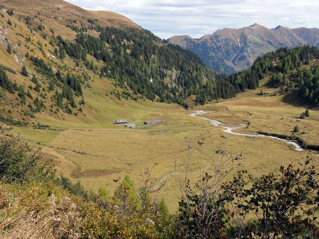 Arnoweg: Der Almboden der Hirzbachalm