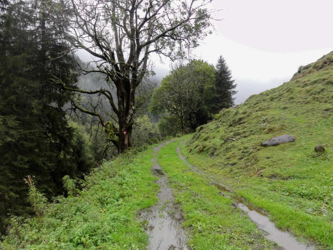 Arnoweg: Verregnetes Wetter am Weg nach Ferleiten und ins Käfertal