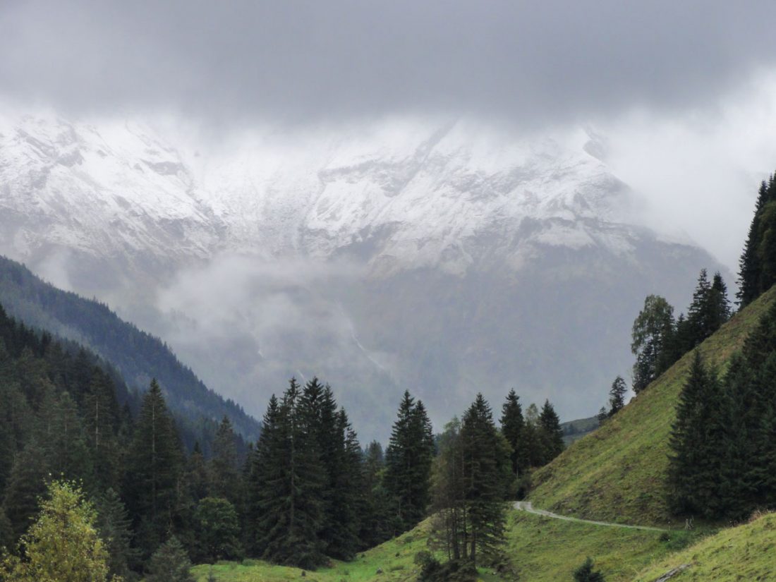 Arnoweg: Der verschneite Blick ins Käfertal