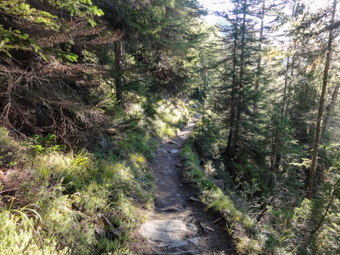 Arnoweg: Der Abstieg nach Heiligenblut über den Haritzer-Steig