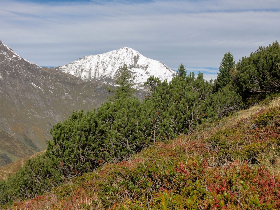 Arnoweg: Der prächtige Ritterkopf (3.006 m) im weißen Kleid