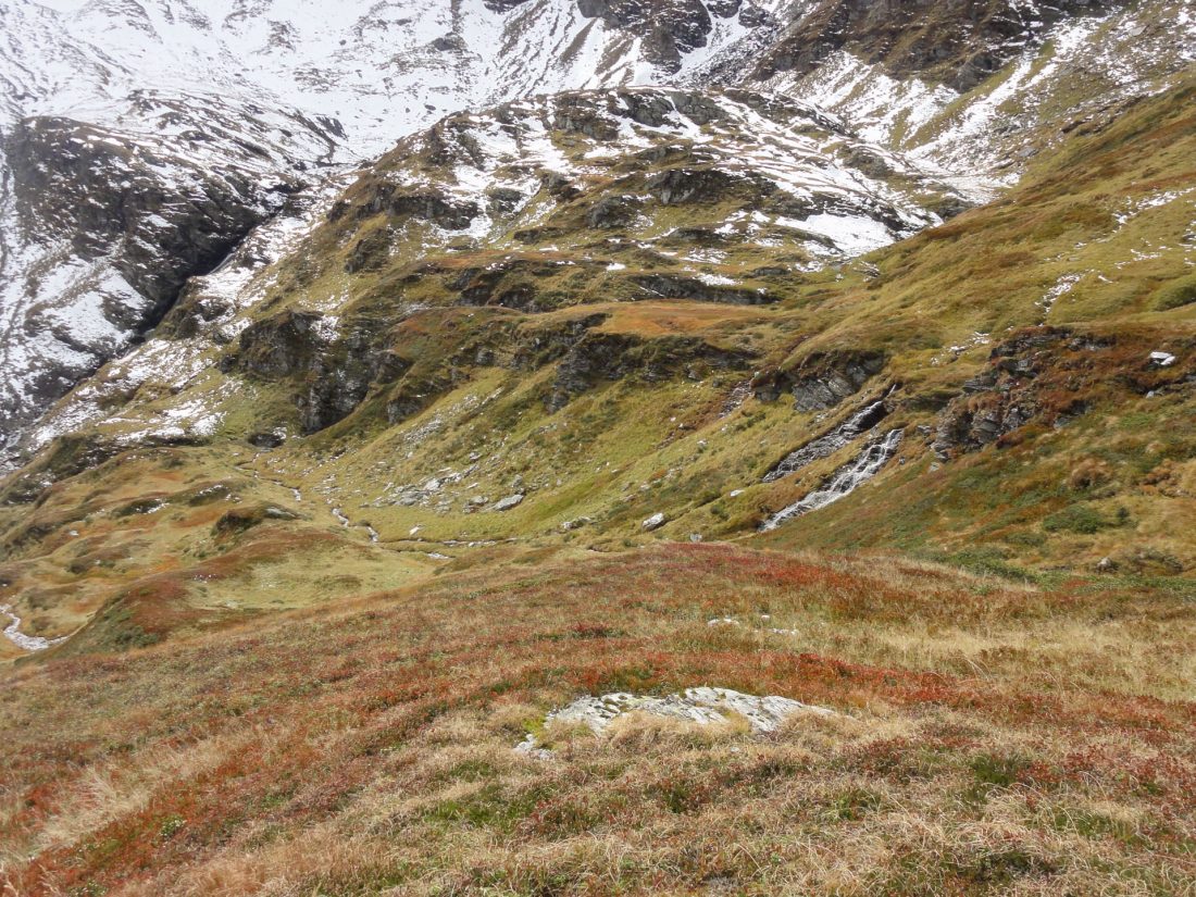 Arnoweg: Einmal mehr steigt man durch herbstliche Grasböden in bunten Farben ab.