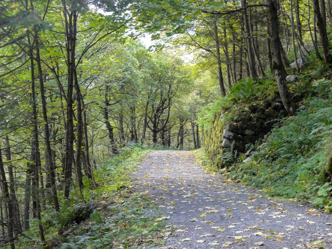 Arnoweg: Beim Anblick dieser Grüntöne ist es kaum zu glauben, dass man auf über 3.000 Höhenmeter in unwirklicher Umgebung den Tag begonnen hat.