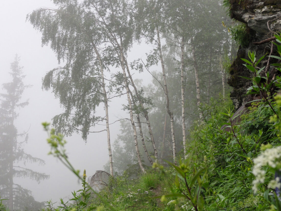 Arnoweg: mystische Stimmung beim Aufstieg vom Grünen Baum im Kötschachtal zur Poserhöhe