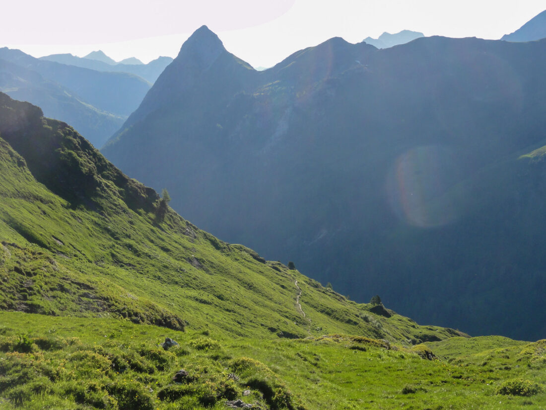 Arnoweg: über sanfte Wege und saftige Wiesen geht es vom Haselloch hinunter zur Königalm ins Riedingtal