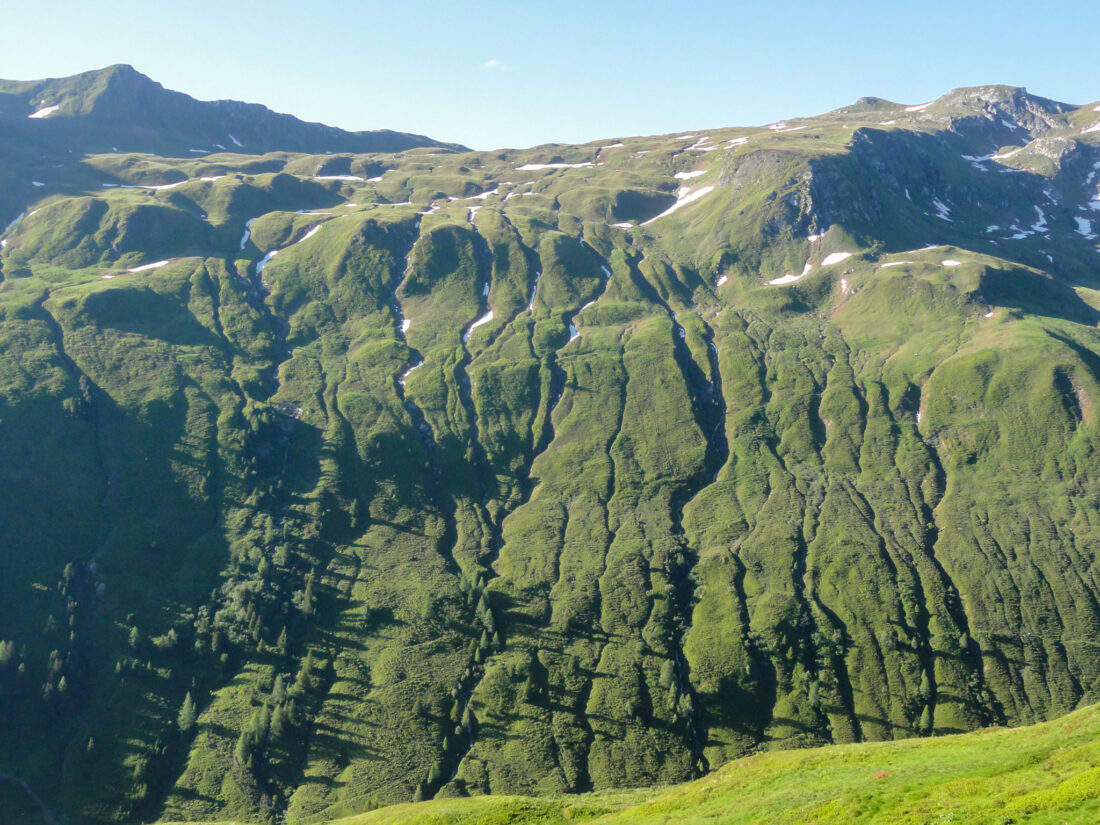 Arnoweg: die Hänge der hinteren Riedingalm am gegenüberliegenden Hang über dem Riedingtal