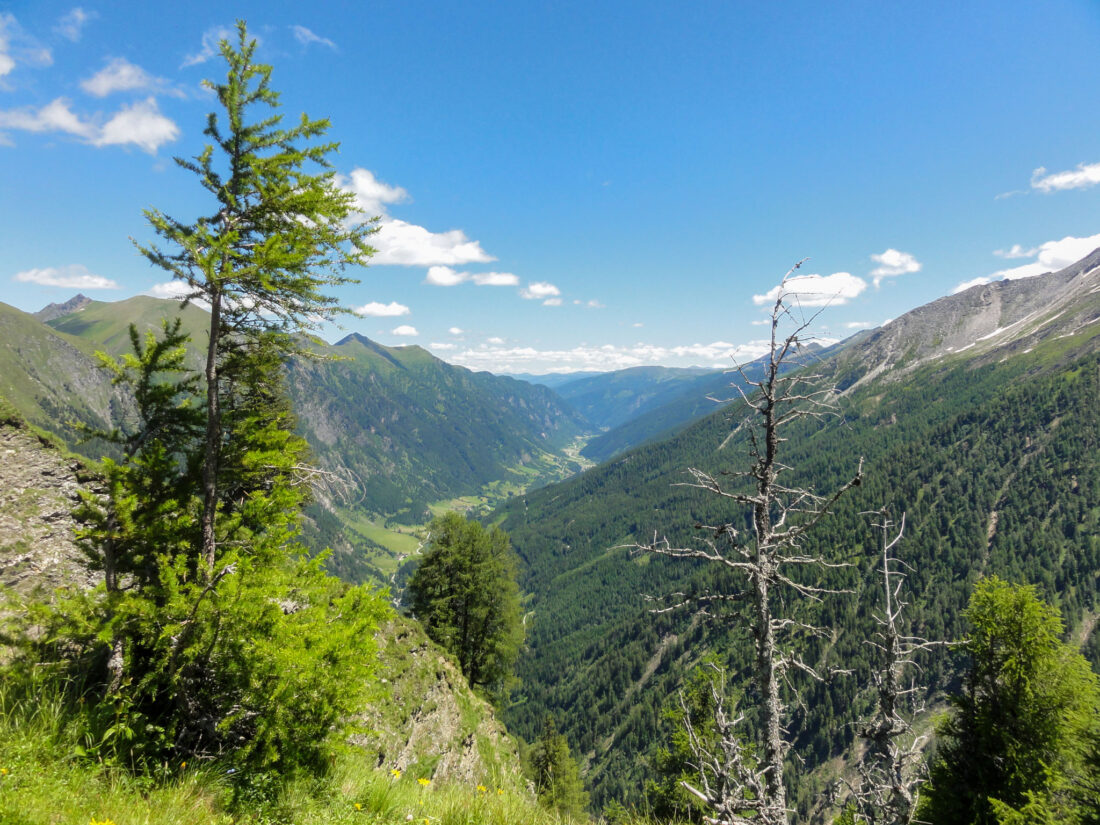 Arnoweg: Blick vom Schrovinschartl nach Muhr