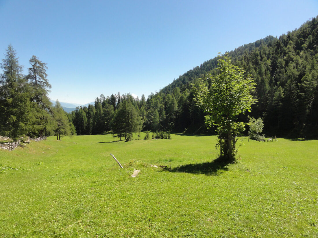 Arnoweg: Am anderen Ende der Wiese der Stöcklalm befindet sich der Einstieg zum Steig Richtung Wengeralm.