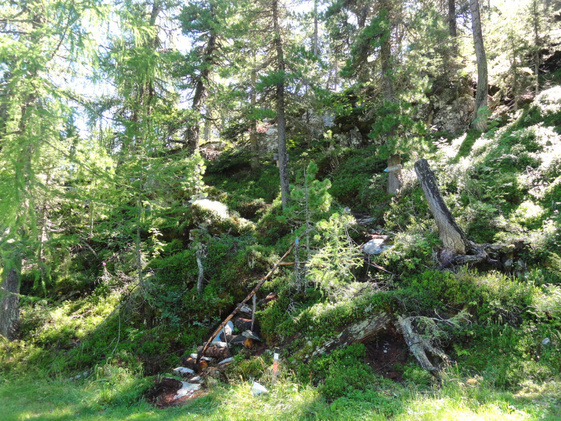 Arnoweg: Der Einstieg zum Steig Richtung Wengeralm und weiter zur Doktoralm