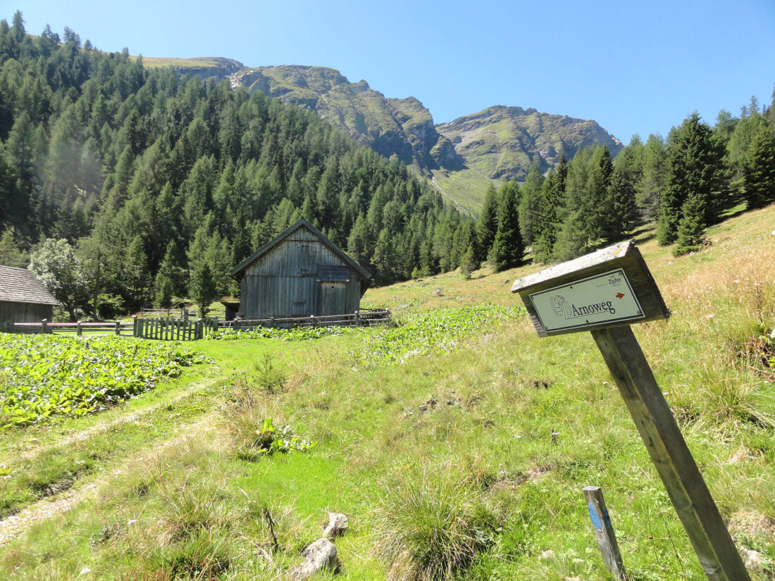 Arnoweg: Bei der unbewirtschafteten Wengeralm treffe ich zum ersten Mal an diesem Tag auf ein Arnoweg-Schild.