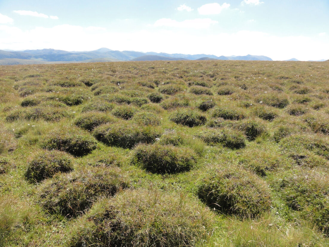 Arnoweg: Ob die Nockberge wegen diesem "nockigen" Landschaftsbild ihren Namen haben?