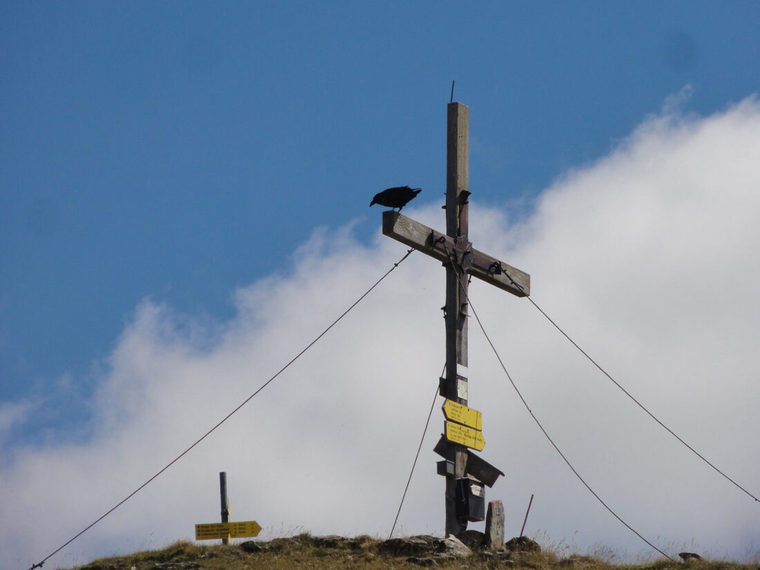 Arnoweg: Gipfelkreuz auf der Gaipahöhe (2192 m)