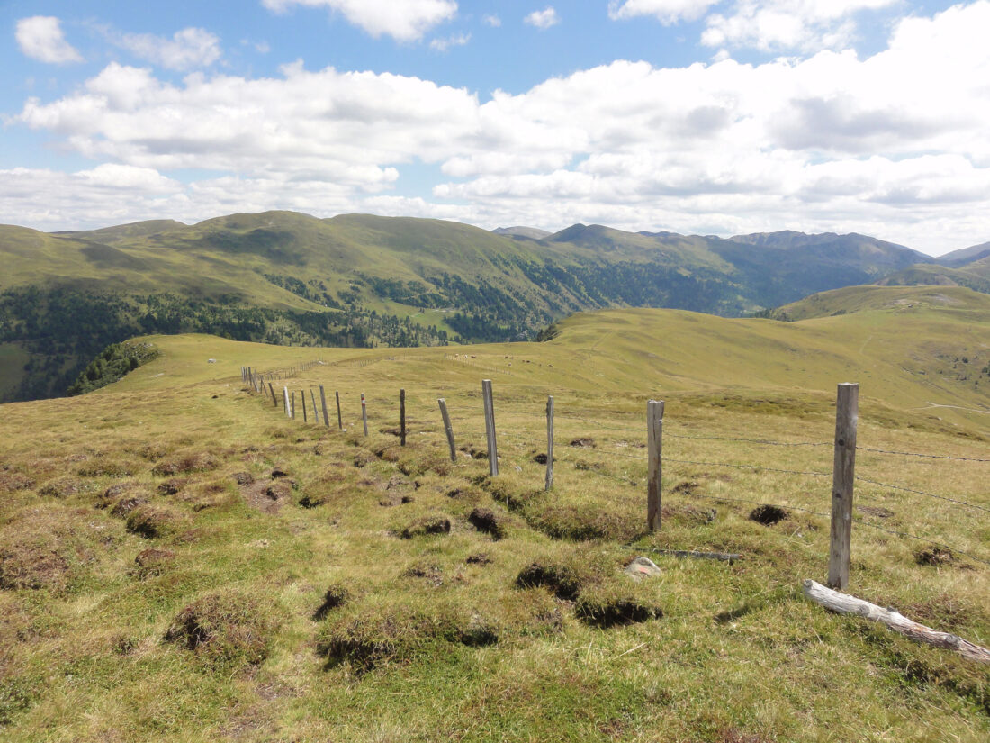 Arnoweg: Abstieg entlang der Weidezäune von der Zechner Höhe (2188 m) zur Mattehanshöhe (2086 m)