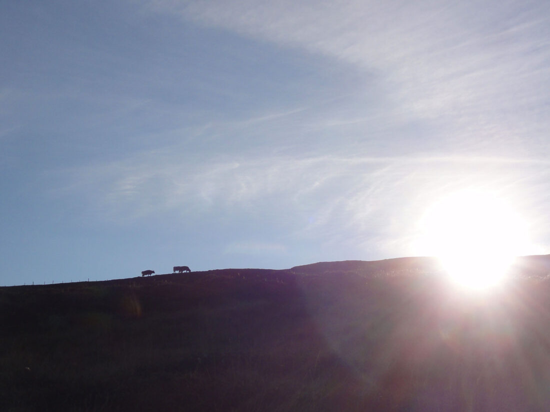 Arnoweg: die ersten Sonnenstrahlen