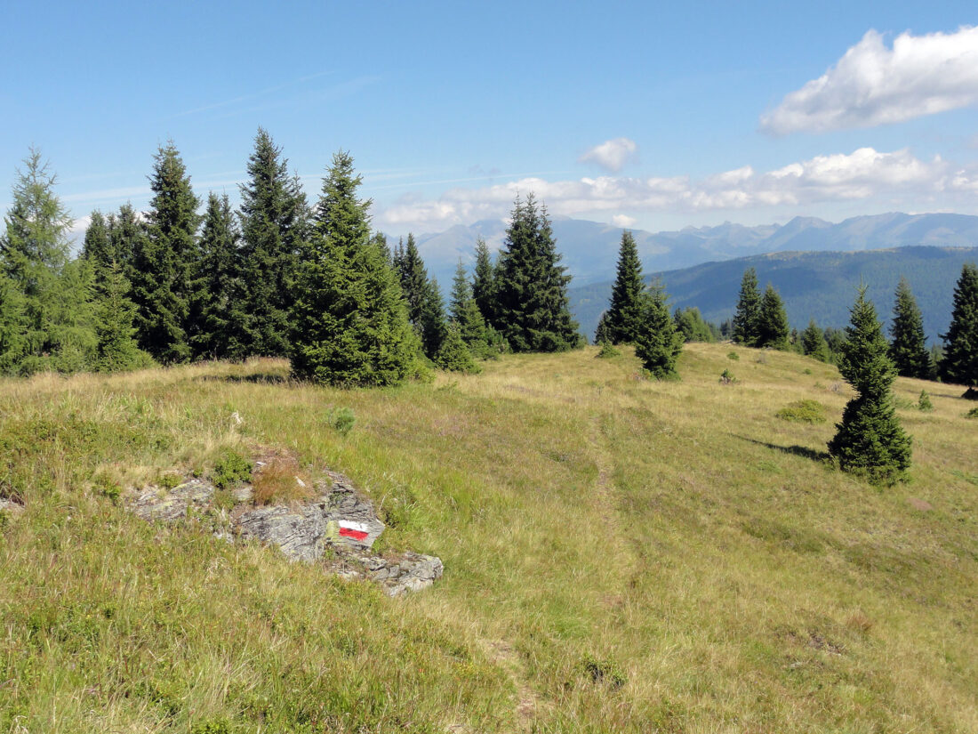 Arnoweg: am Weg Richtung Gstoßhöhe (1890 m)