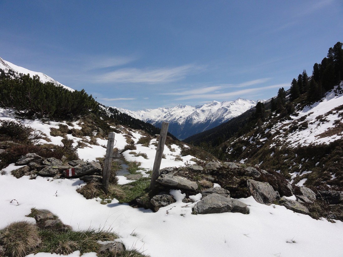 Arnoweg: Beim Abstieg zur Steineralm verzog sich schön langsam die Schneedecke.