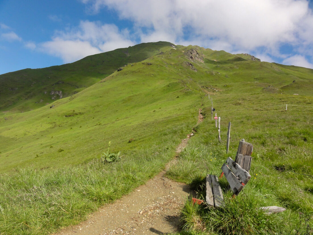 Arnoweg: hier auf der Tofernscharte beginnt der Gipfelaufstieg auf den Gamskarkogel (2467 m)