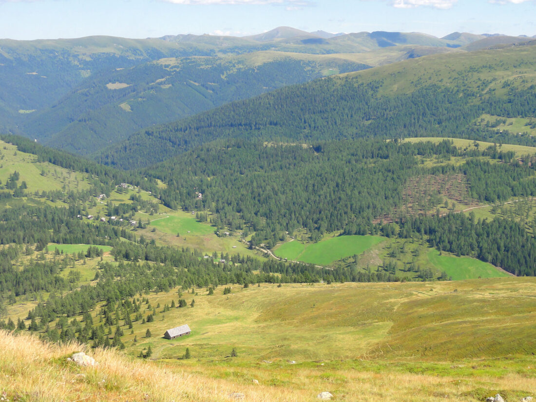 Arnoweg: Blick vom Abstieg zur Neuen Bonner-Hütte über die Laußnitzer Almwiesen