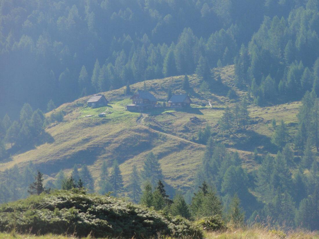 Arnoweg: Blick über die Ebenwald-Kuppe zur Laußnitzalm